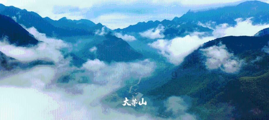 三小只僵尸的游戏时间7